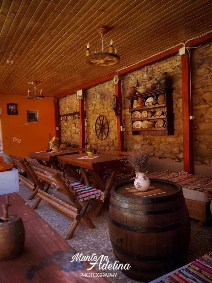 منزل الضيف Barcut  في Casa Pe Valea Hartibaciului المظهر الخارجي الصورة