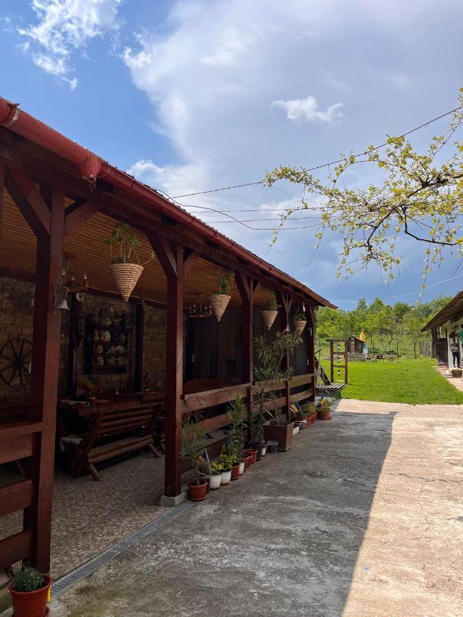 منزل الضيف Barcut  في Casa Pe Valea Hartibaciului المظهر الخارجي الصورة
